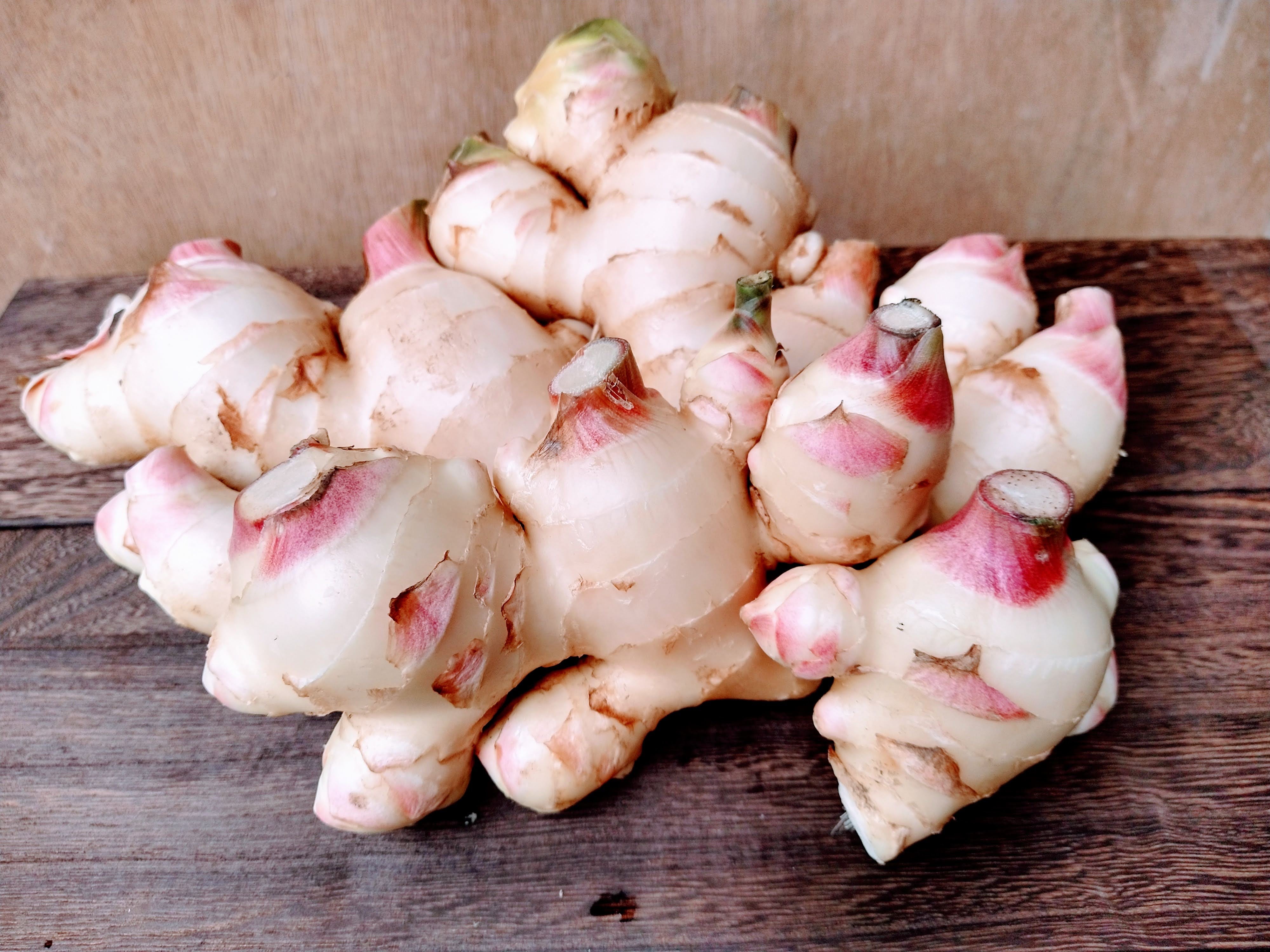 aboutginger | hanacono.farm